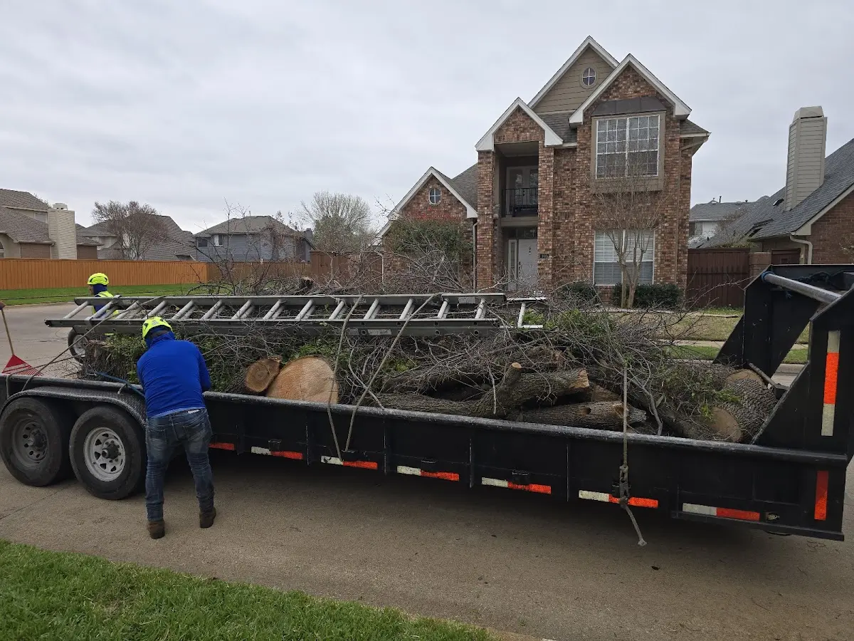 Expert Tree Pest Control with proper safety equipment in Morris